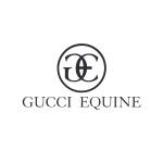 Gucci Equine Horses For Sale in USA